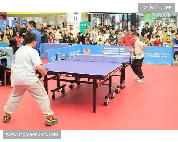 乒乓球的魅力与灵动西安乒乓球队的训练与比赛全景揭秘